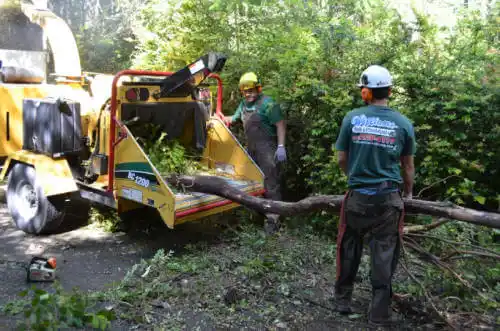 tree services Perdido Beach